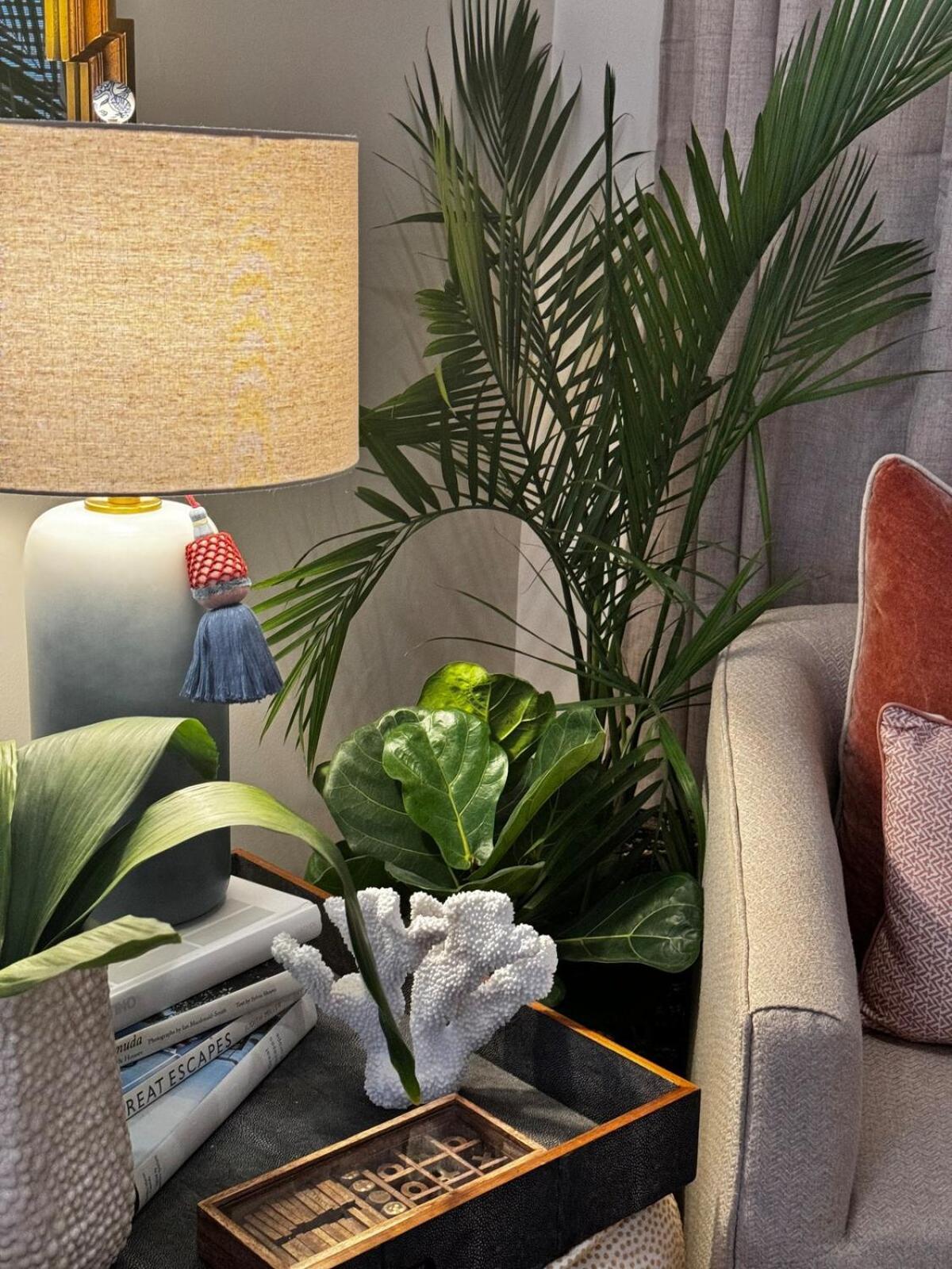 Concept House * Charleston