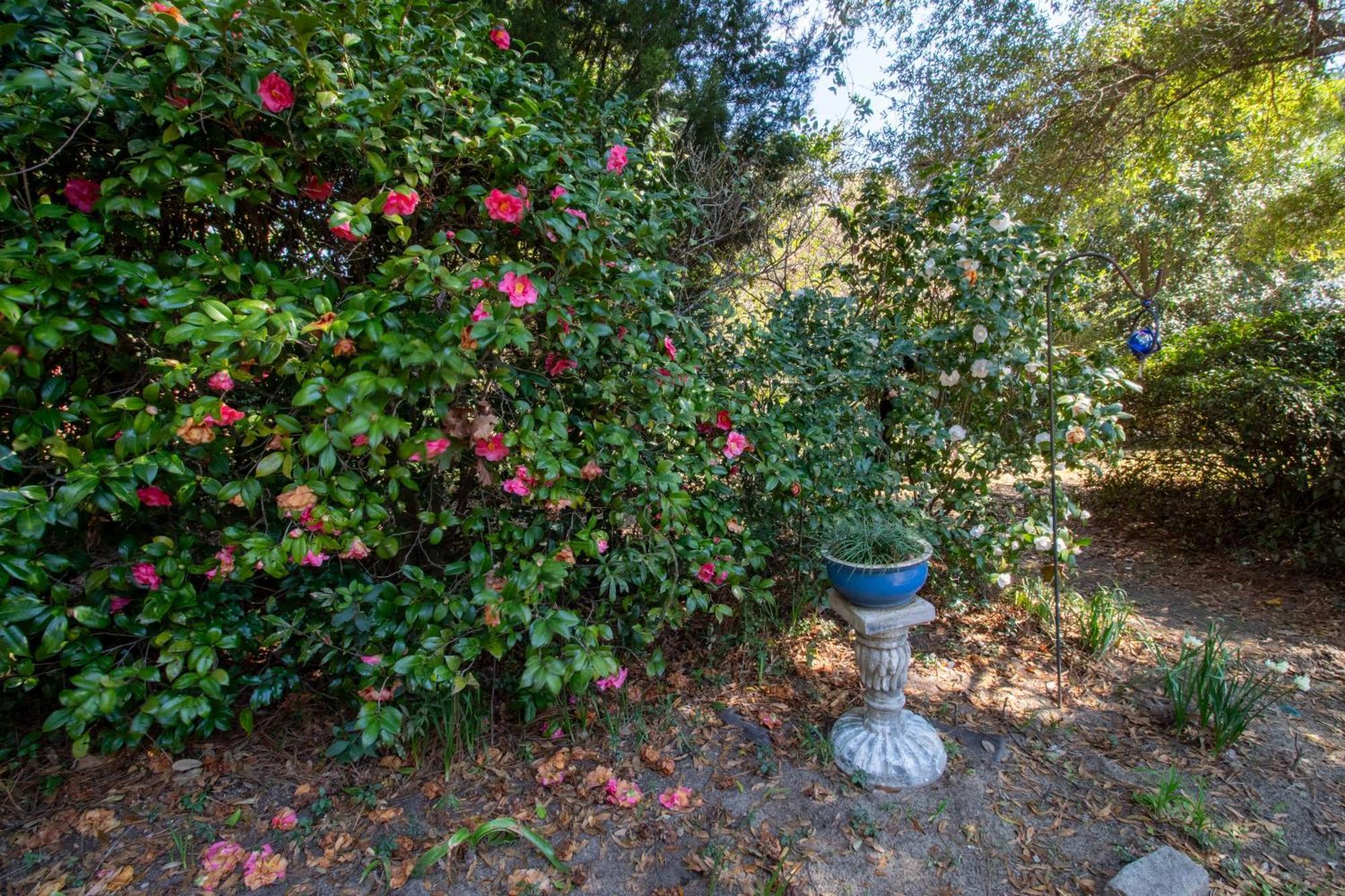 Holiday home Harborview Haven Charleston