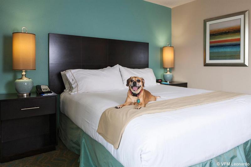 Best Western Plus Downtown Hotel Charleston