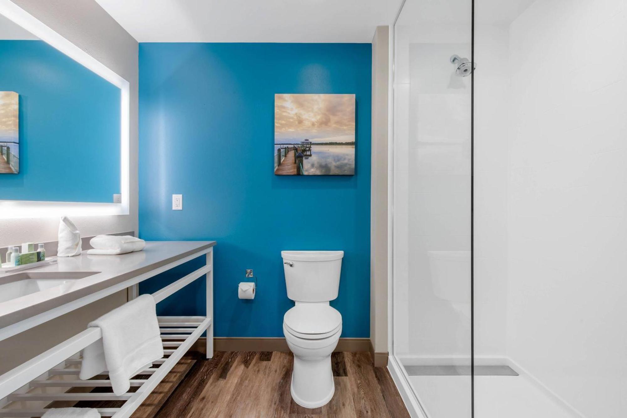 Cambria Mount Pleasant - Hotel 3*